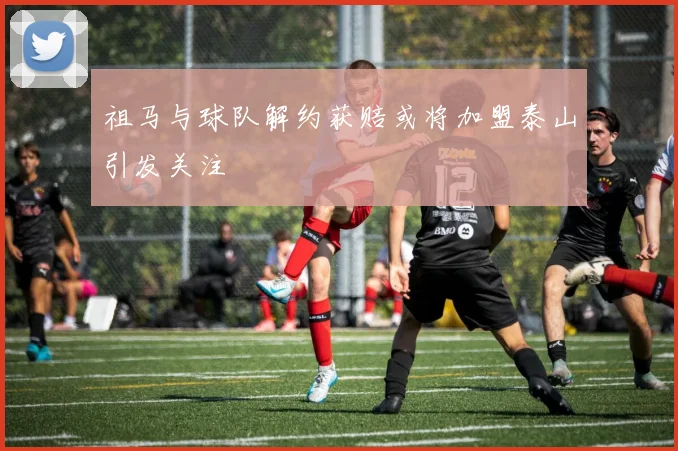 祖马与球队解约获赔或将加盟泰山引发关注