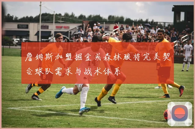 詹姆斯加盟掘金或森林狼将完美契合球队需求与战术体系